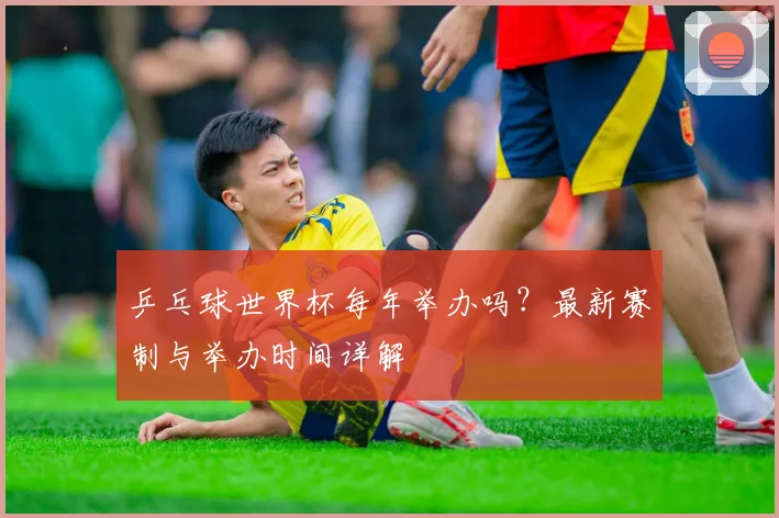 乒乓球世界杯每年举办吗？最新赛制与举办时间详解