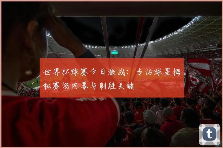 世界杯球赛今日激战：专访球星揭秘赛场内幕与制胜关键