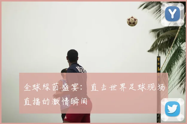 全球绿茵盛宴：直击世界足球现场直播的激情瞬间